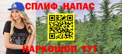 прущие грибы Конаково
