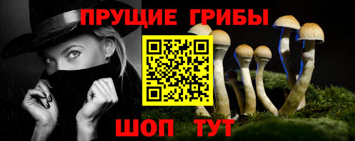 Галлюциногенные грибы Magic Shrooms  Вход с VPN  Псилоцибиновые грибы GOLDEN TEACHER  Химки 