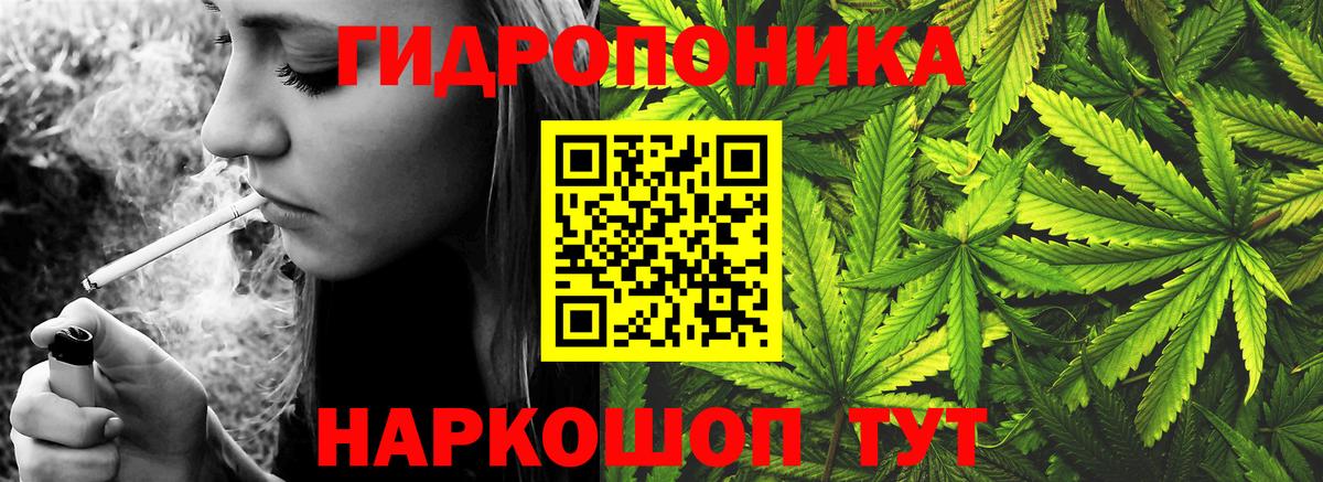 Канабис сатива Химки